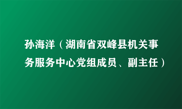 孙海洋（湖南省双峰县机关事务服务中心党组成员、副主任）