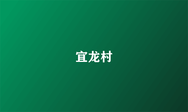 宜龙村