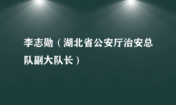 李志勋（湖北省公安厅治安总队副大队长）