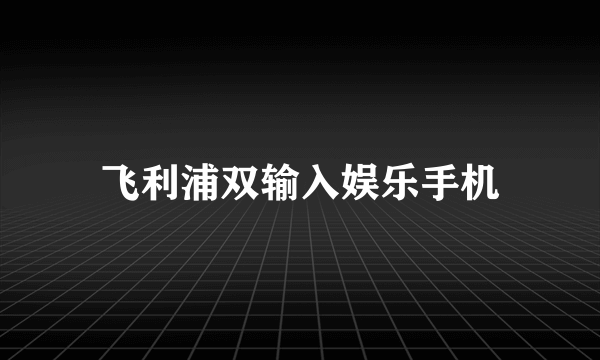 飞利浦双输入娱乐手机