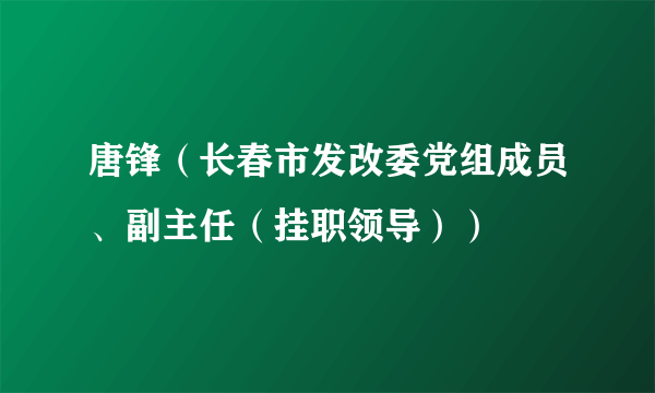唐锋（长春市发改委党组成员、副主任（挂职领导））