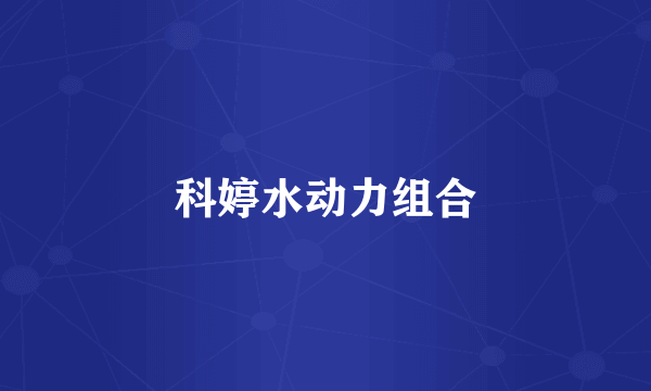 科婷水动力组合