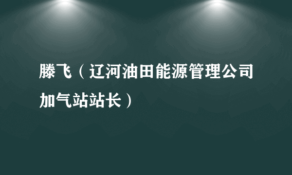滕飞（辽河油田能源管理公司加气站站长）