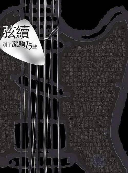 弦续——别了家驹15载