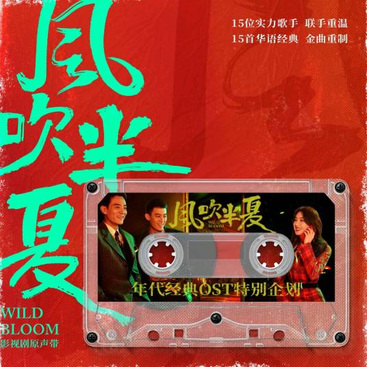 我想有个家（电视剧《风吹半夏》中的插曲）