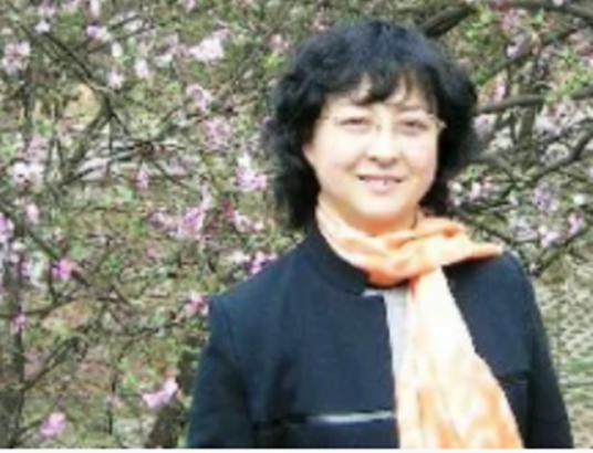 王丽萍（华北电力大学可再生能源学院教授）
