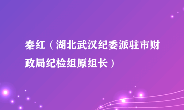 秦红（湖北武汉纪委派驻市财政局纪检组原组长）