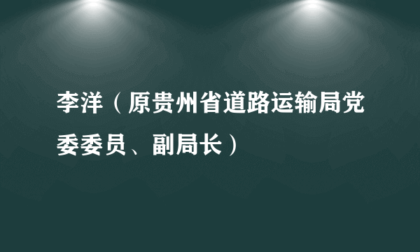 李洋（原贵州省道路运输局党委委员、副局长）