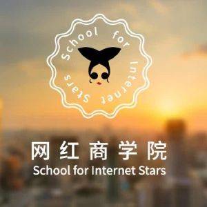 网红商学院（网络红人定制学院）