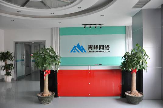 保定青峰网络科技有限公司
