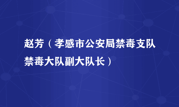 赵芳（孝感市公安局禁毒支队禁毒大队副大队长）