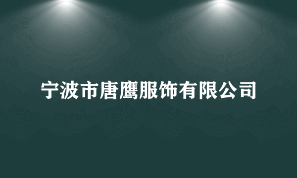 宁波市唐鹰服饰有限公司