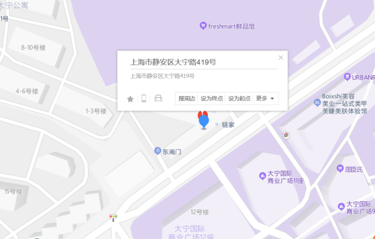 大宁路419号