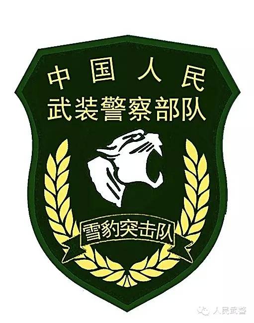 雪豹突击队
