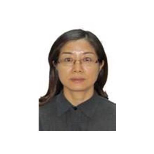 周琴（宁波大学教授）