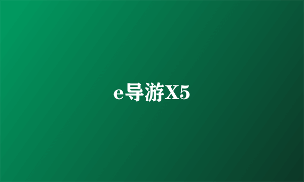 e导游X5
