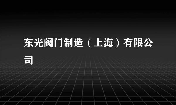 东光阀门制造（上海）有限公司