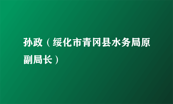 孙政（绥化市青冈县水务局原副局长）