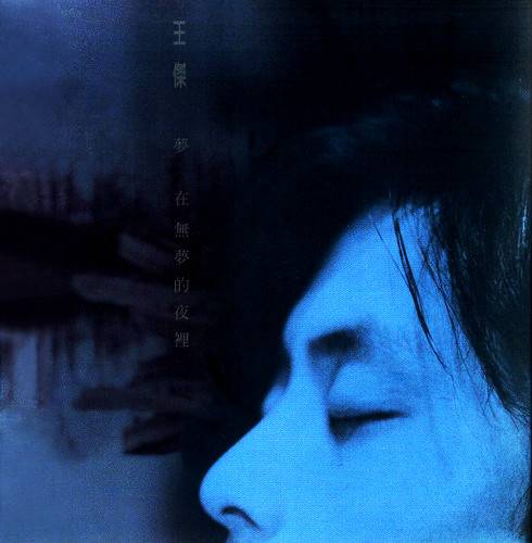 梦在无梦的夜里（1995年发行王杰第15张普通话专辑）