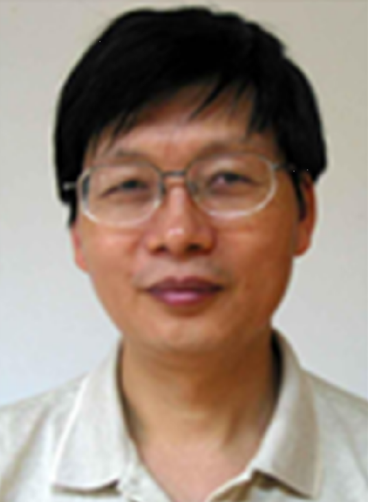 罗建（重庆大学电气工程学院教授）