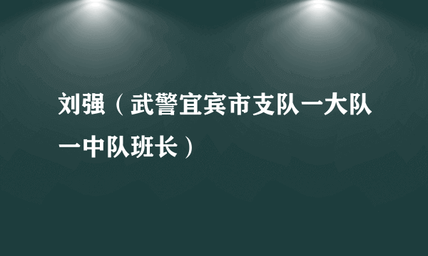刘强（武警宜宾市支队一大队一中队班长）