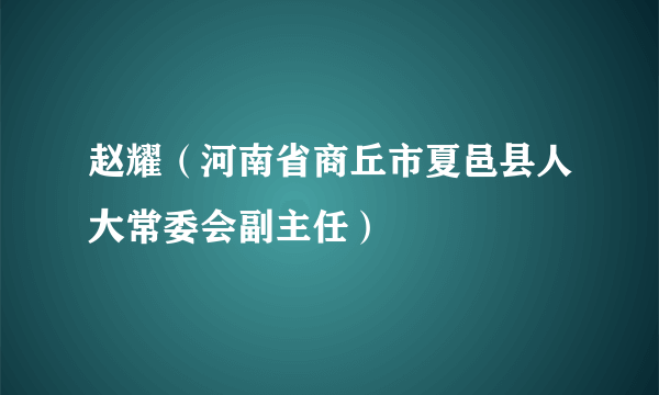 赵耀（河南省商丘市夏邑县人大常委会副主任）