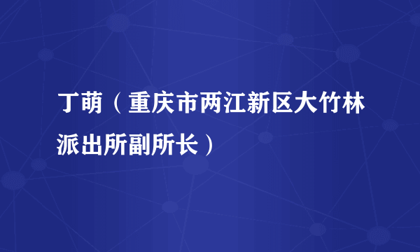丁萌（重庆市两江新区大竹林派出所副所长）