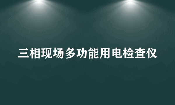 三相现场多功能用电检查仪