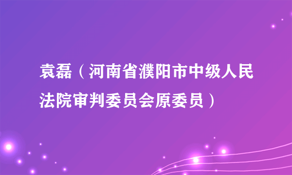 袁磊（河南省濮阳市中级人民法院审判委员会原委员）