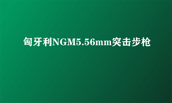 匈牙利NGM5.56mm突击步枪