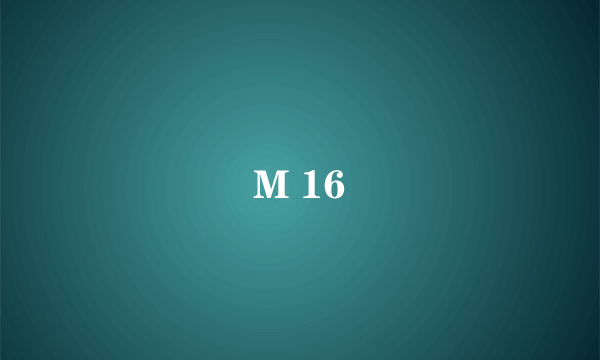 M 16