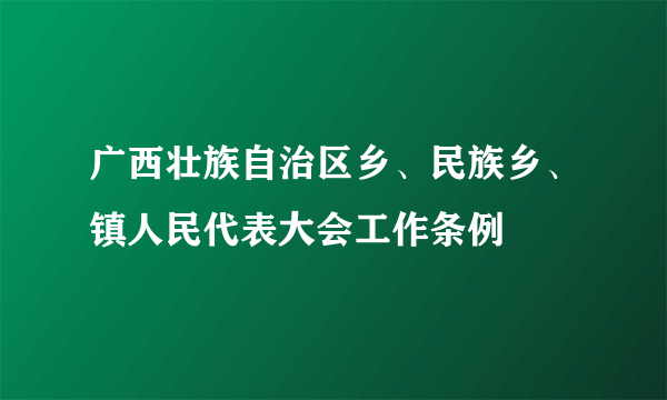 广西壮族自治区乡、民族乡、镇人民代表大会工作条例