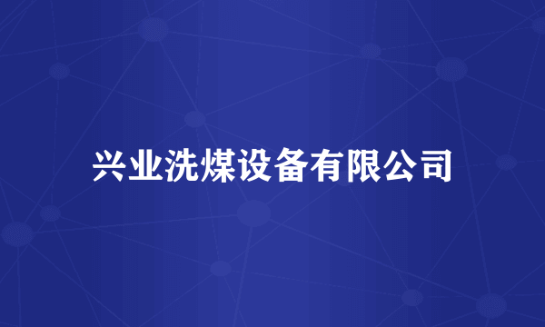 兴业洗煤设备有限公司