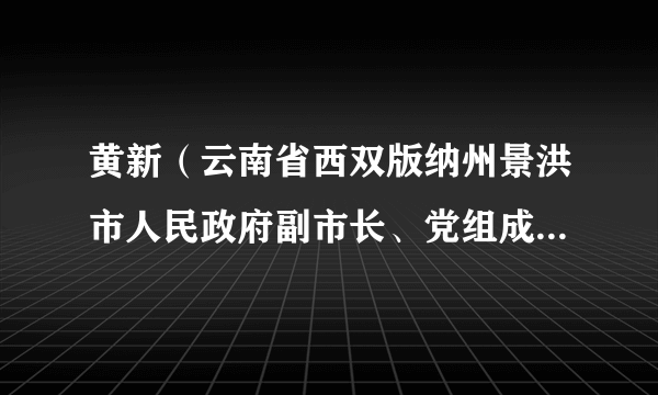 黄新（云南省西双版纳州景洪市人民政府副市长、党组成员，市政法委副书记，市公安局党委委员、书记、局长、督察长）