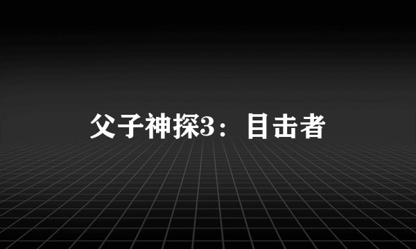 父子神探3：目击者