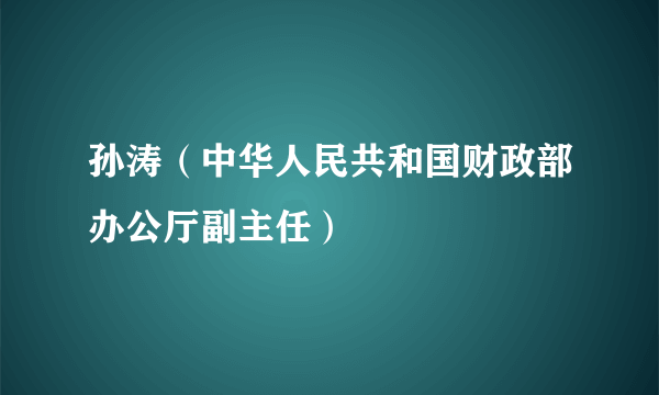 孙涛（中华人民共和国财政部办公厅副主任）