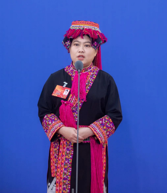 王晓彤（海南省琼中黎族苗族自治县长征镇党委副书记、镇长）