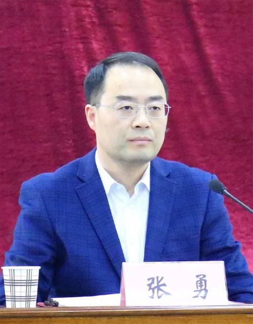 张勇（湖北省京山市委书记）