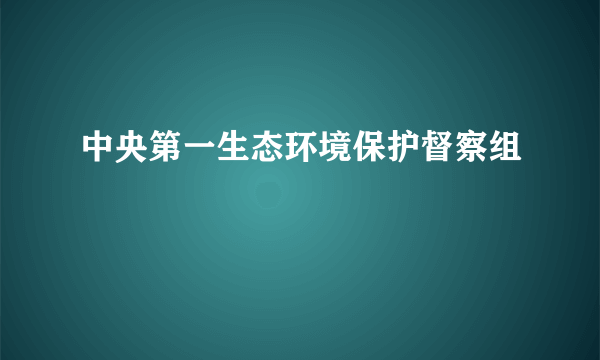 中央第一生态环境保护督察组