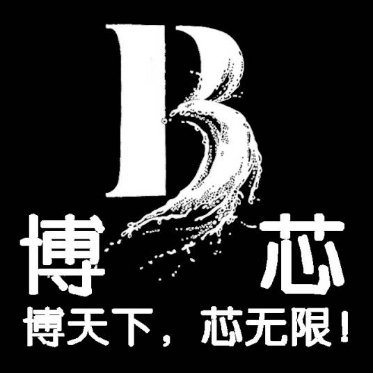 山东博芯信息科技有限公司