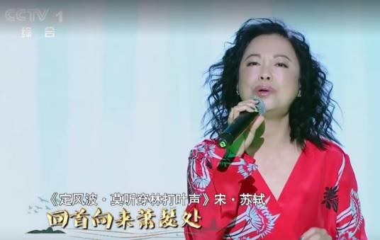 定风波（黄绮珊演唱歌曲）