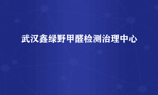 武汉鑫绿野甲醛检测治理中心