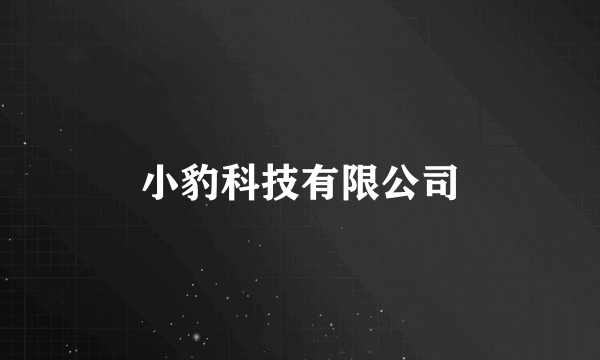 小豹科技有限公司