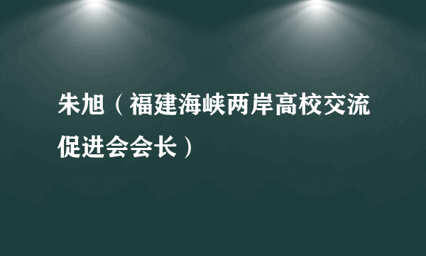 朱旭（福建海峡两岸高校交流促进会会长）