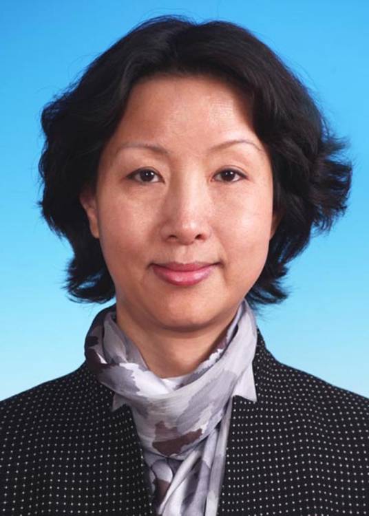 王岚（北京市退役军人事务局原一级巡视员）