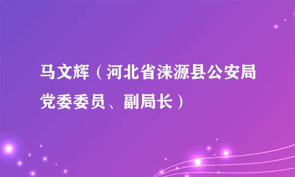 马文辉（河北省涞源县公安局党委委员、副局长）
