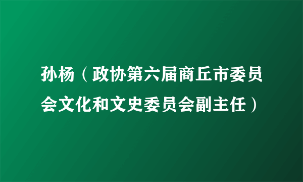 孙杨（政协第六届商丘市委员会文化和文史委员会副主任）