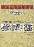 临床实用解剖图谱（盆部及会阴部分册）