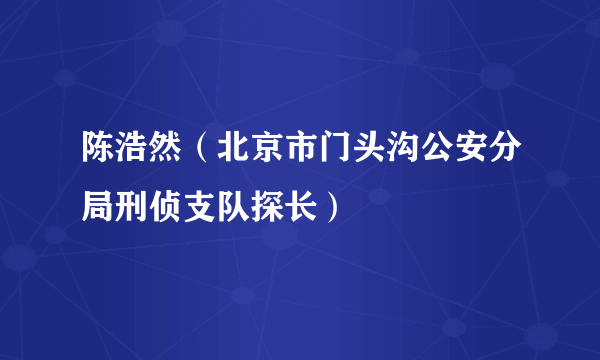 陈浩然（北京市门头沟公安分局刑侦支队探长）