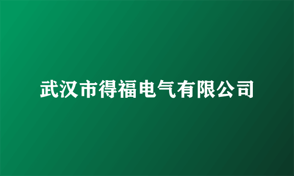 武汉市得福电气有限公司